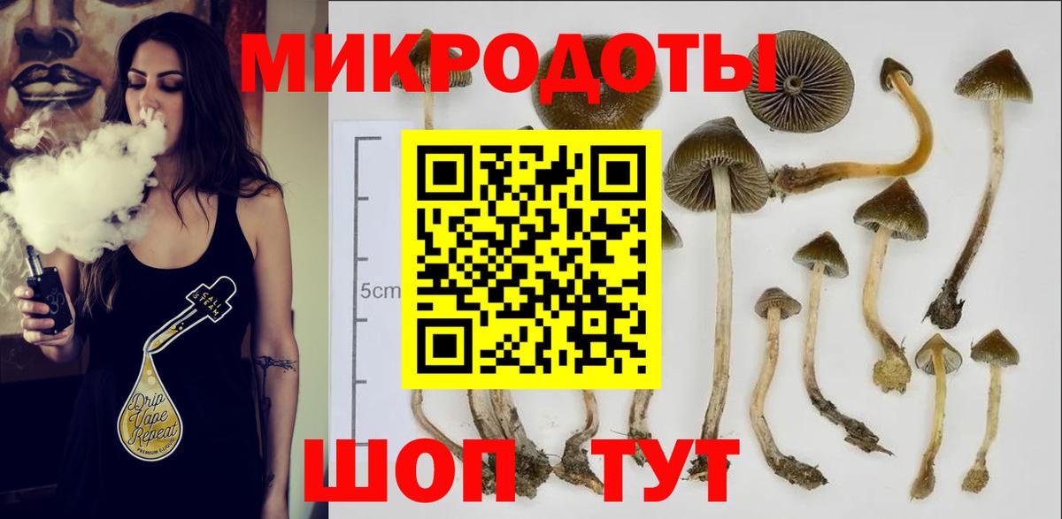 Псилоцибиновые грибы ЛСД  Вход с VPN  Галлюциногенные грибы мухоморы  Джанкой 